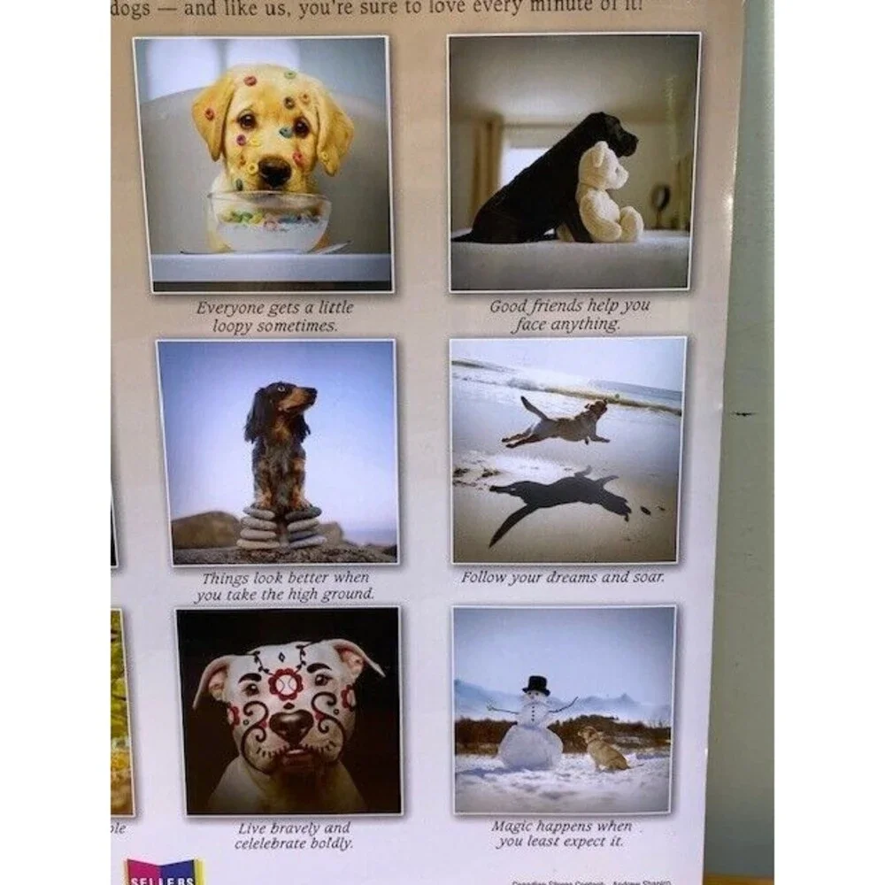 Dogma 2024 Wall Calendar: A Dog’s Guide to Life by Ron Schmidt, 12